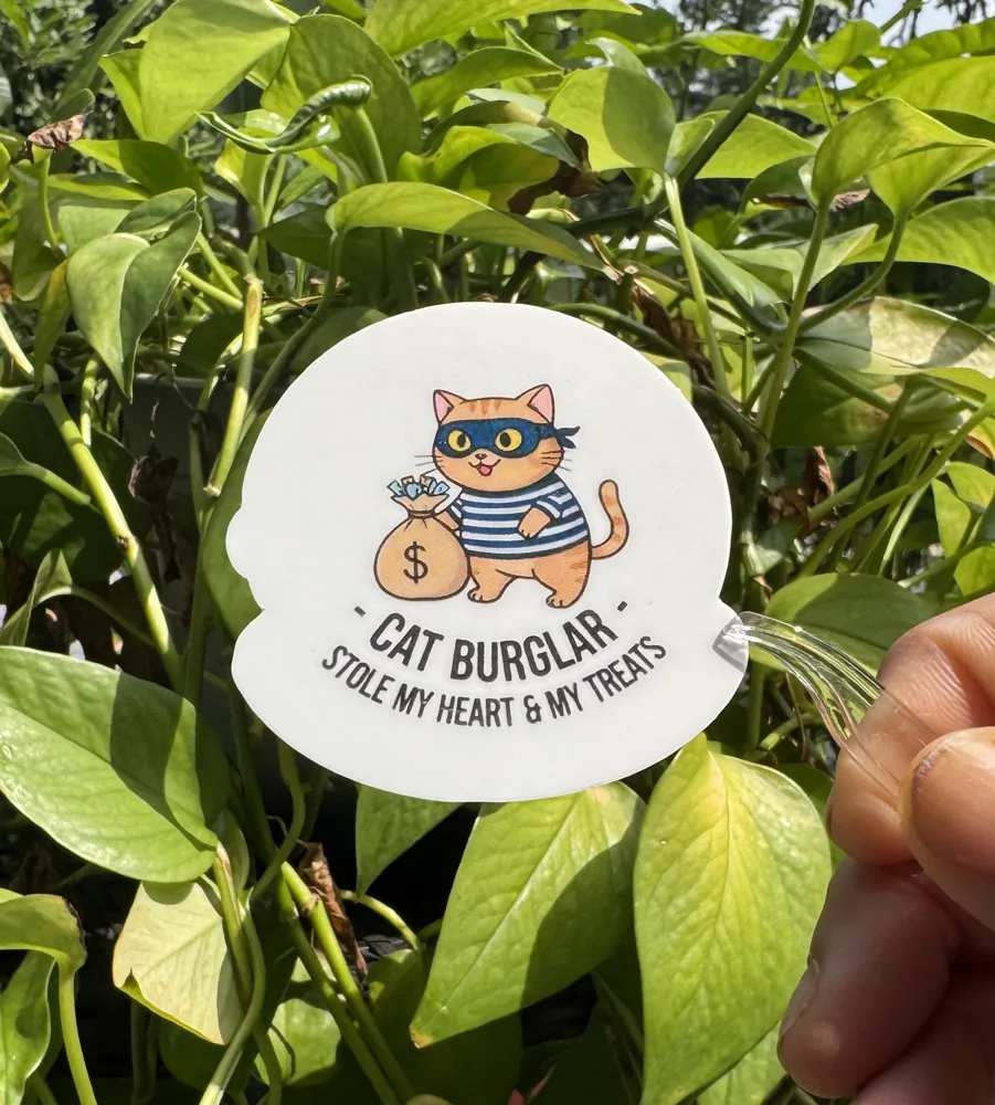 Cat Burglar Sticker
