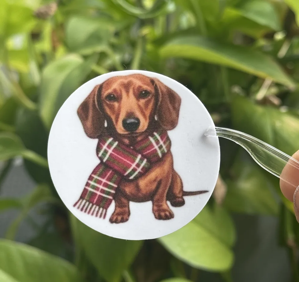 Dachshund Scarf Sticker